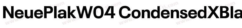 NeuePlakW04 CondensedXBlack字体转换